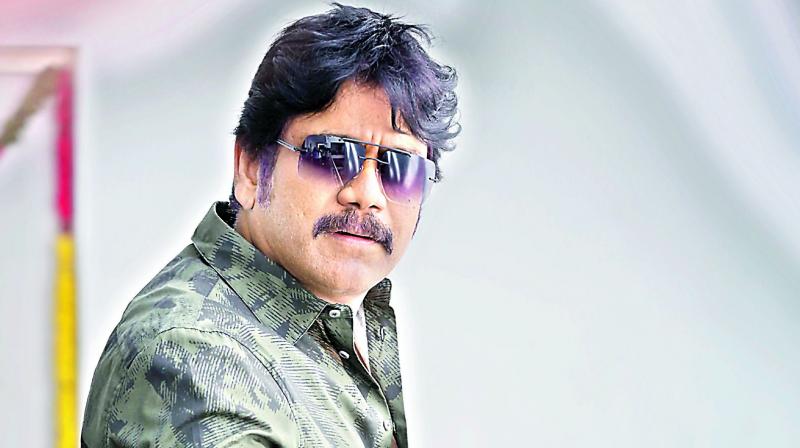 Nag to join Sankranthi race