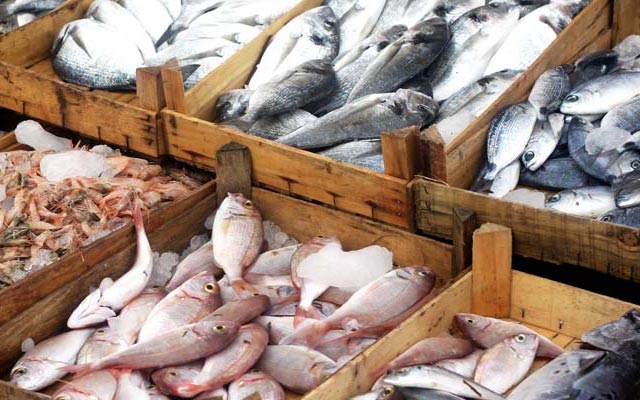 AP’s aqua exports still remain strong