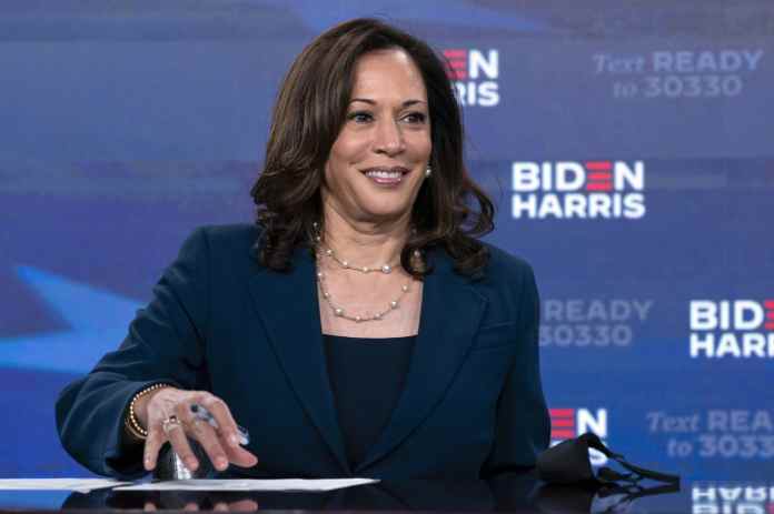 Many Indian Americans are in race for Congress, state legislatures