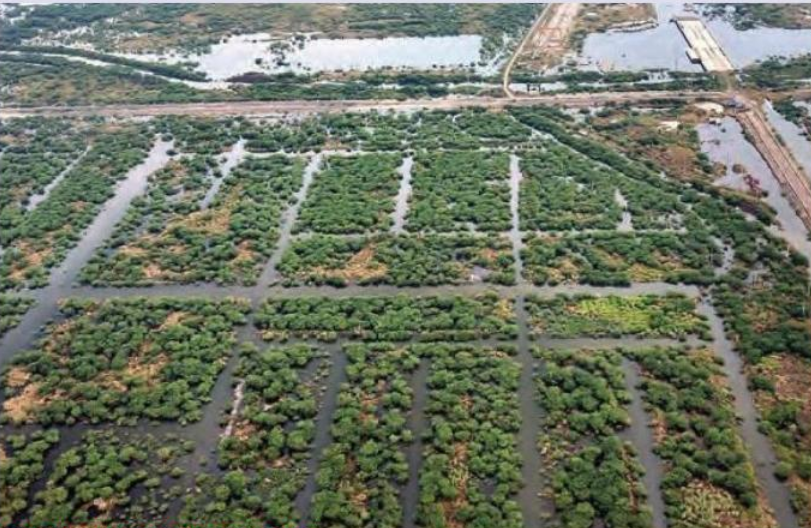 Jagan to conduct aerial survey of Nivar hit areas on Sat!