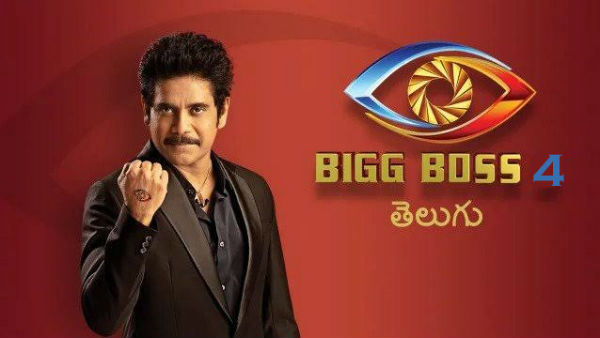 Bigg Boss 4: Housemates say Monal does not deserve to stay in the show!