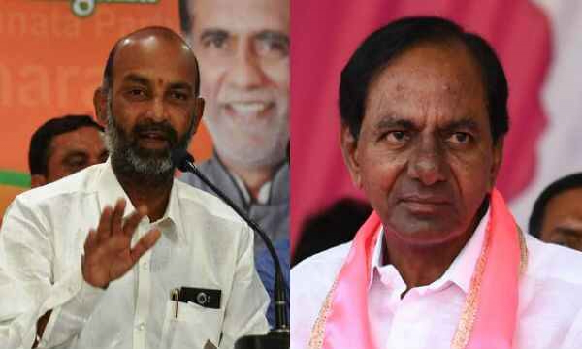 Latest survey: BJP to get 75 seats in Greater?