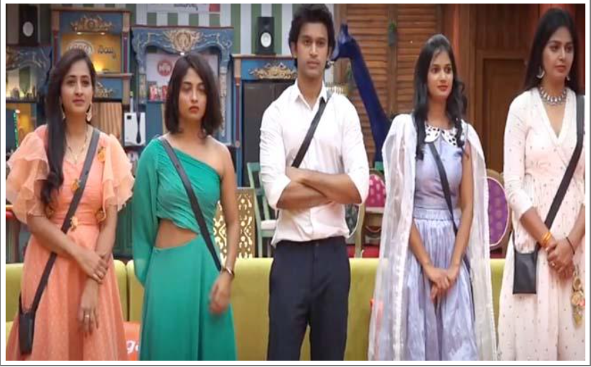 Bigg Boss 4: Monal who won the hurricane and is safe!