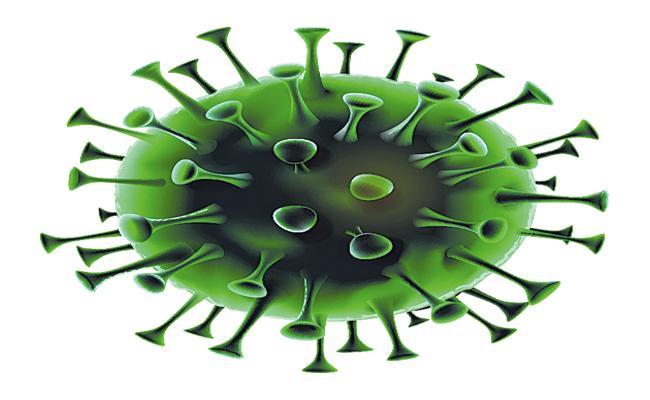 Amid new strain scare, Andhra to trace, test, quarantine UK returnees