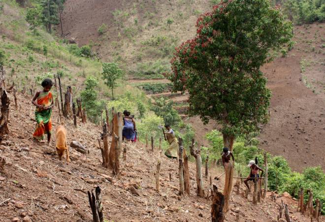 Conflict over ‘podu’ lands in Telangana resurfaces