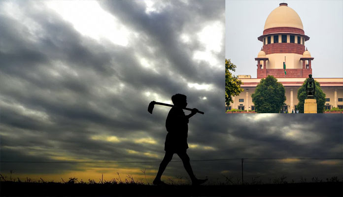 SC-appointed committee on three farm laws submits report