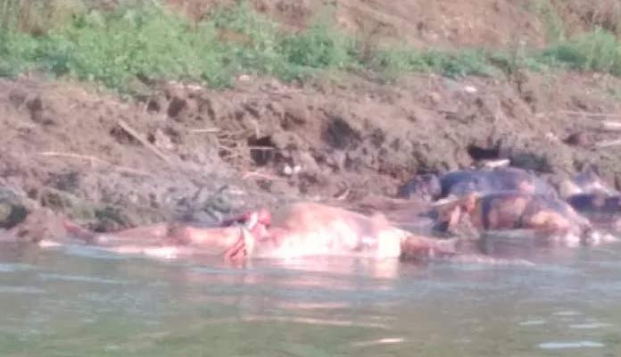 Floating bodies cremated in UP districts