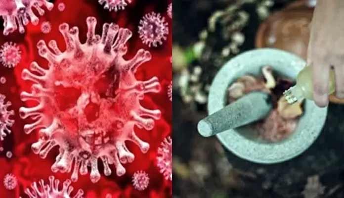 Krishnapatnam can’t be called Ayurvedic: AYUSH team