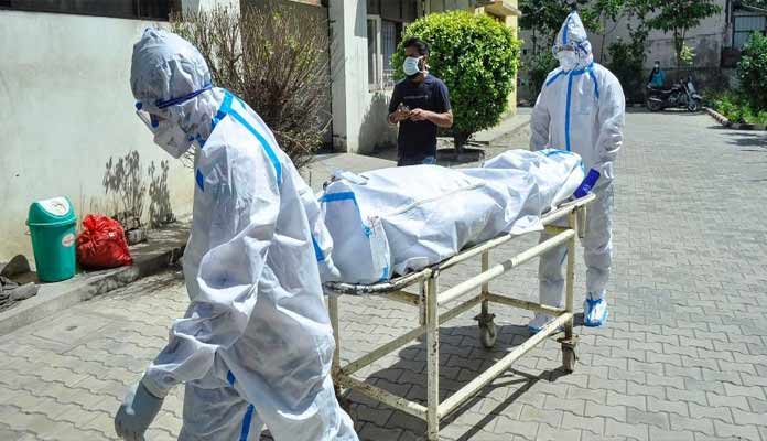 514 Covid deaths in single
