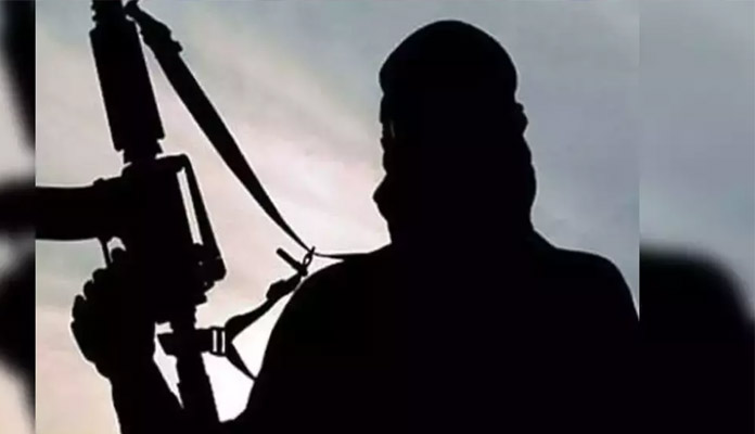 Top Hizbul commander killed in Kashmir encounter