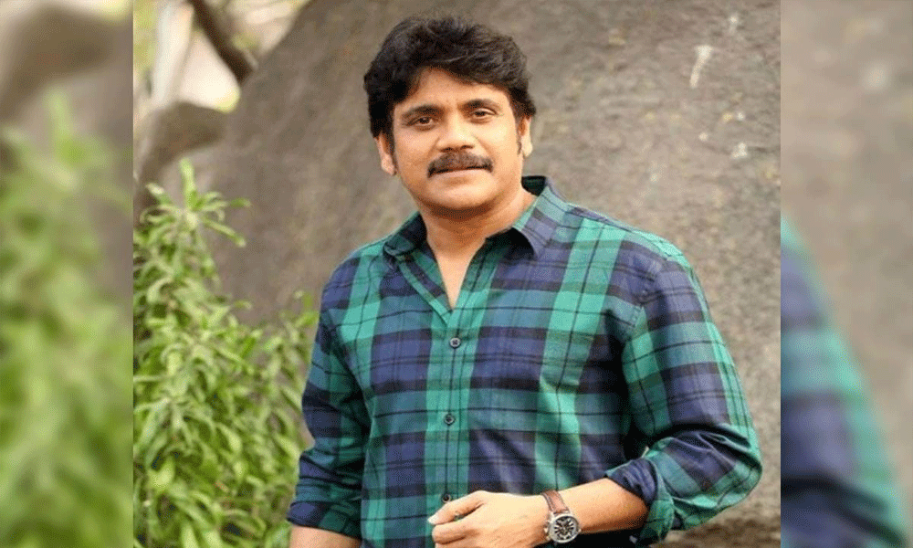 Nagarjuna missed National award because of that Hero?