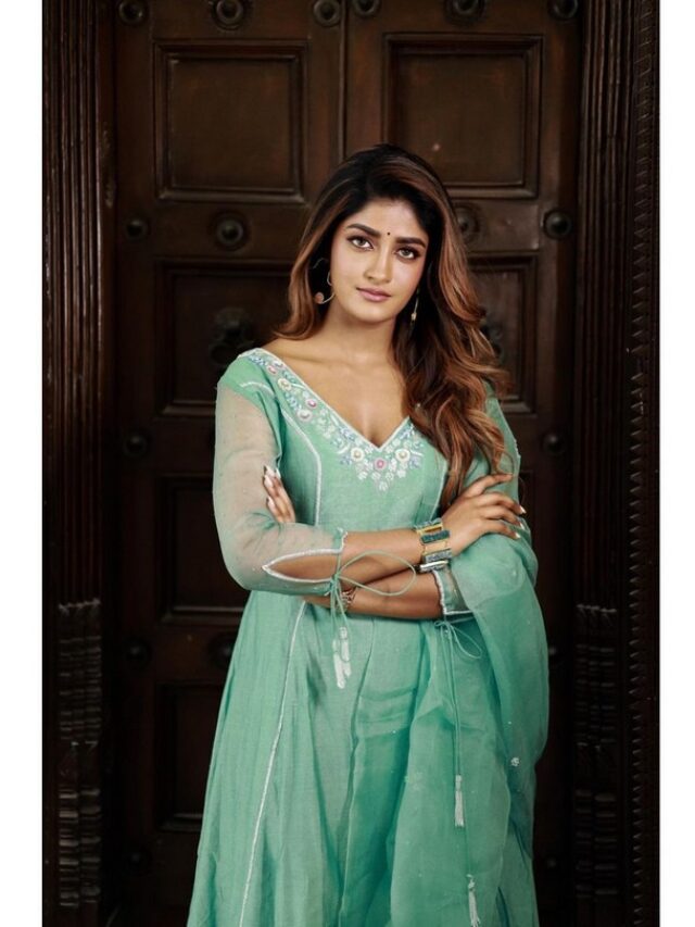 Dimple Hayathi Stunning Cliks In Dress