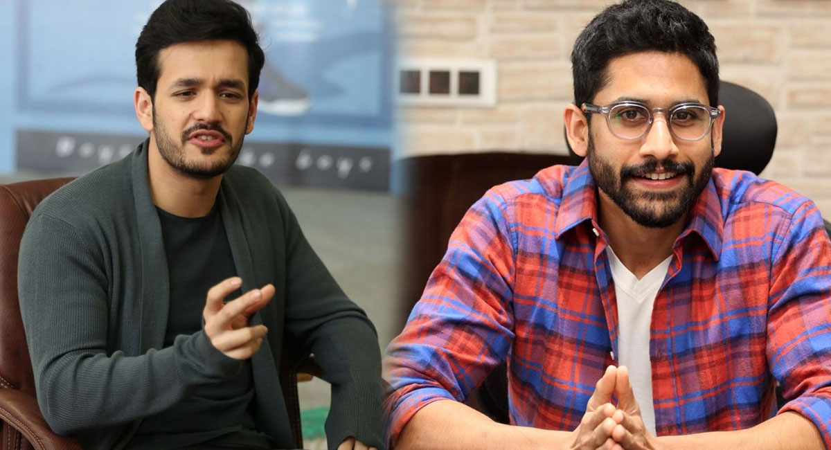 Akhil’s Interesting Comments On Naga Chaitanya’s