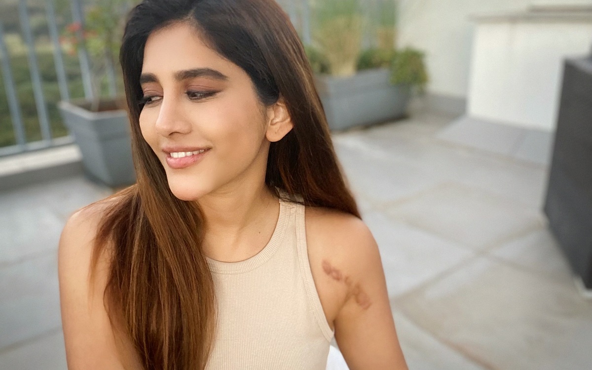 Nabha Natesh Suffered A Bad Accident