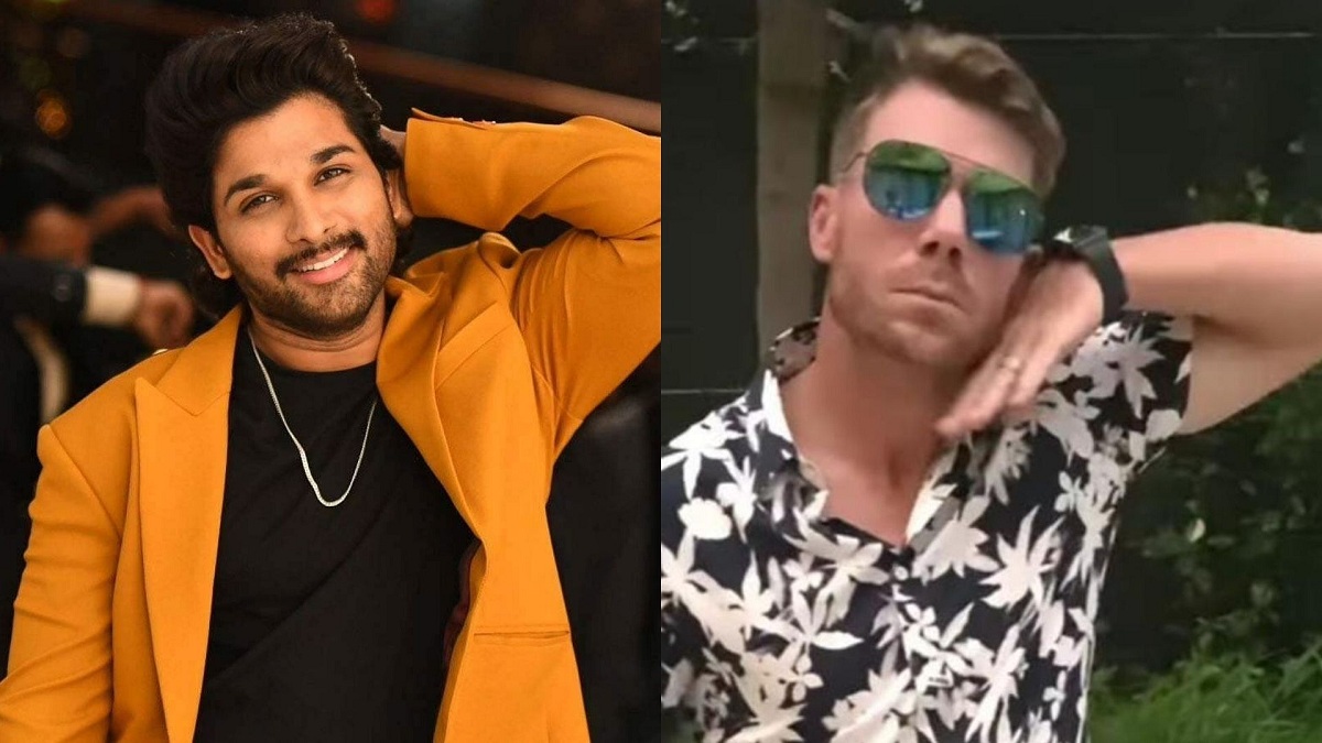 David Warner All Set For Acting Debut?