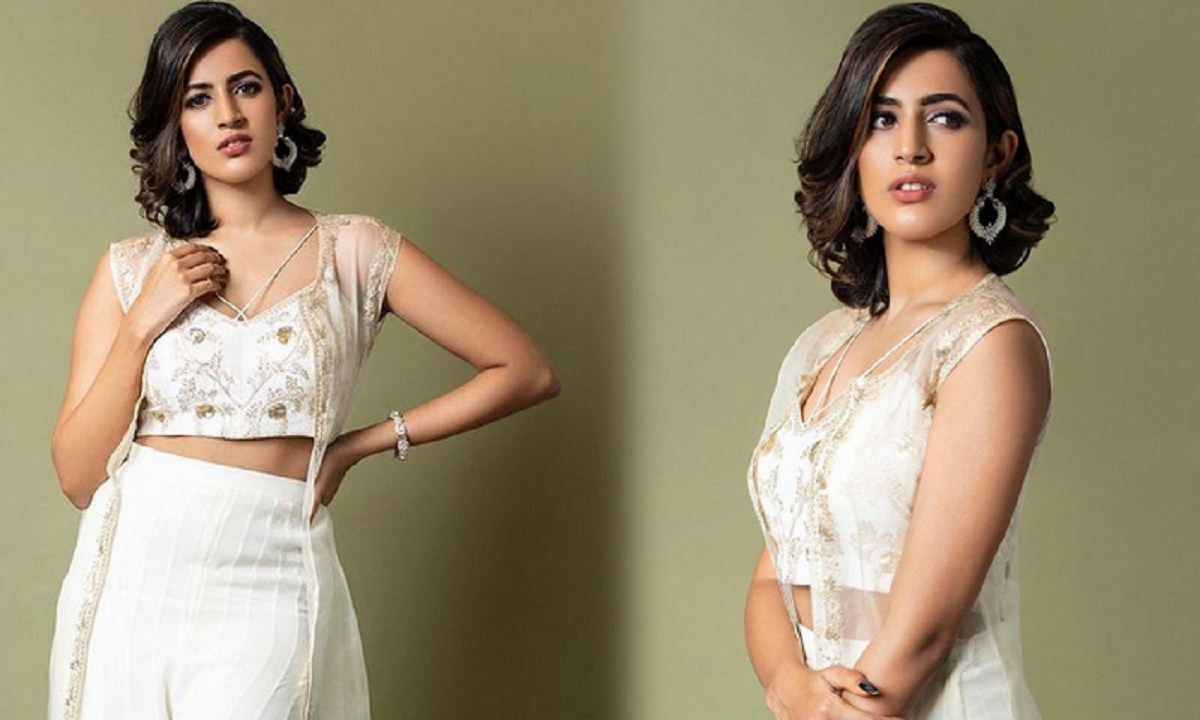 Niharika Konidela Gets Trolled Badly