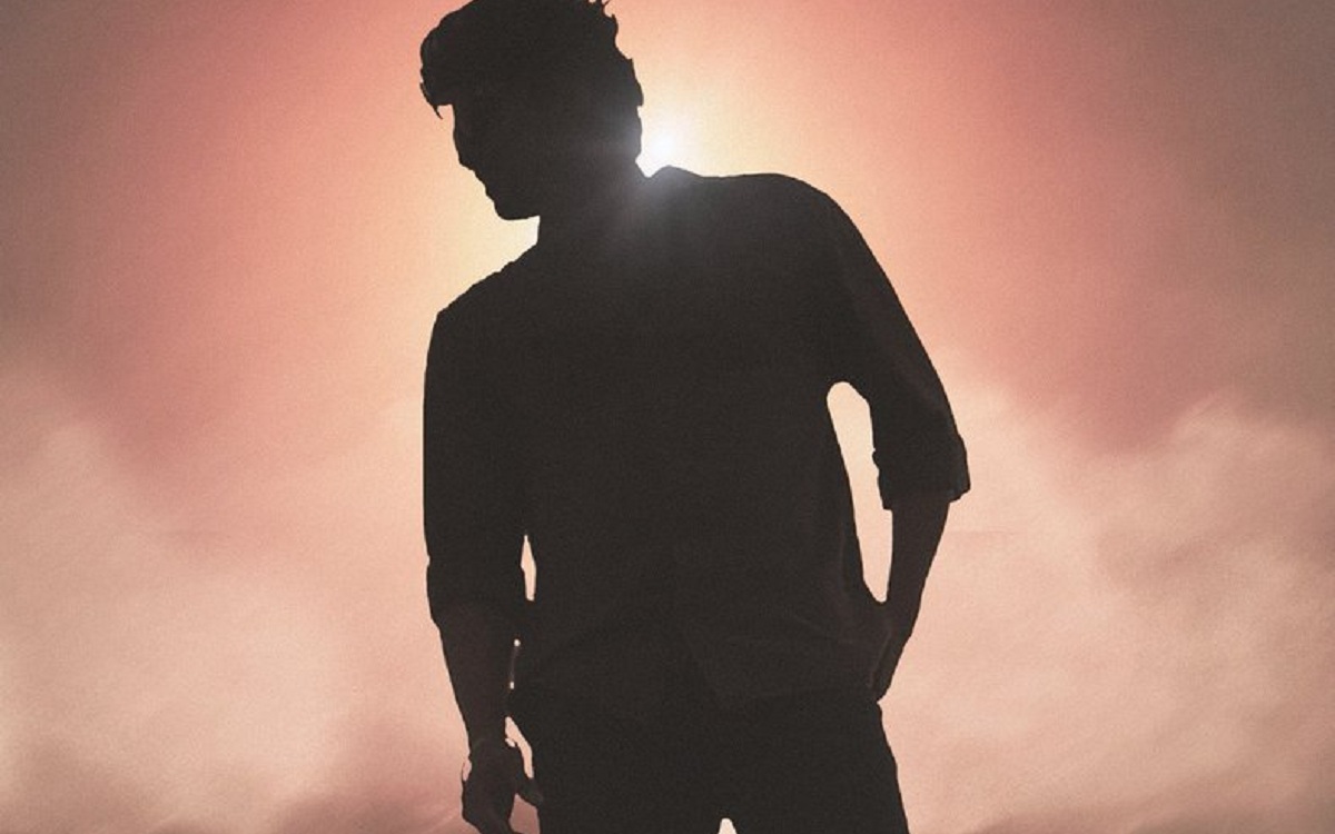Star Cricketer To Turn Actor