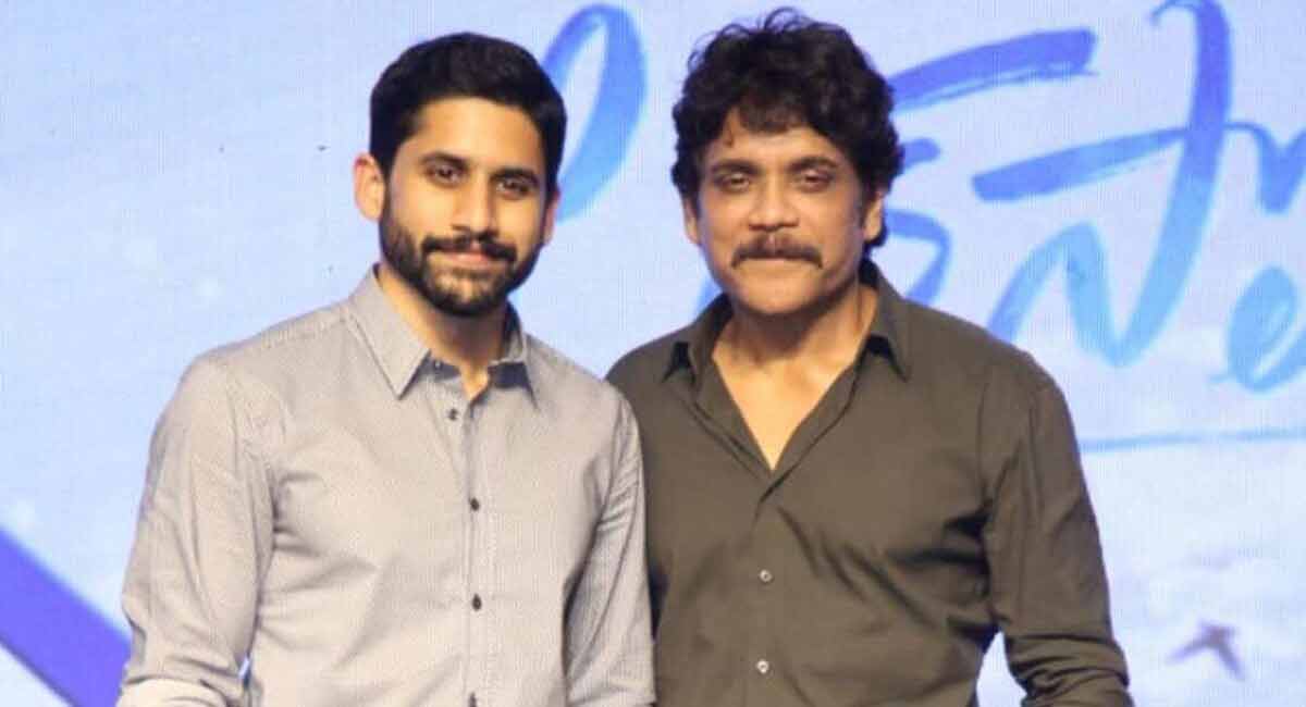 Nagarjuna In Naga Chaitanya’s Movie?