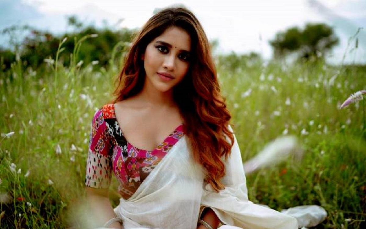 Did Nabha Natesh Took A Wrong Decision?